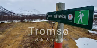 Tromso i okolice, co warto zobaczyć?