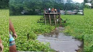 সেতু ভেঙে বরযাত্রীবাহী মাইক্রোবাস খালে, নিহত ৯