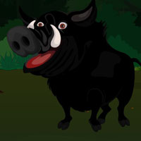 BIG Save The Black Pig
