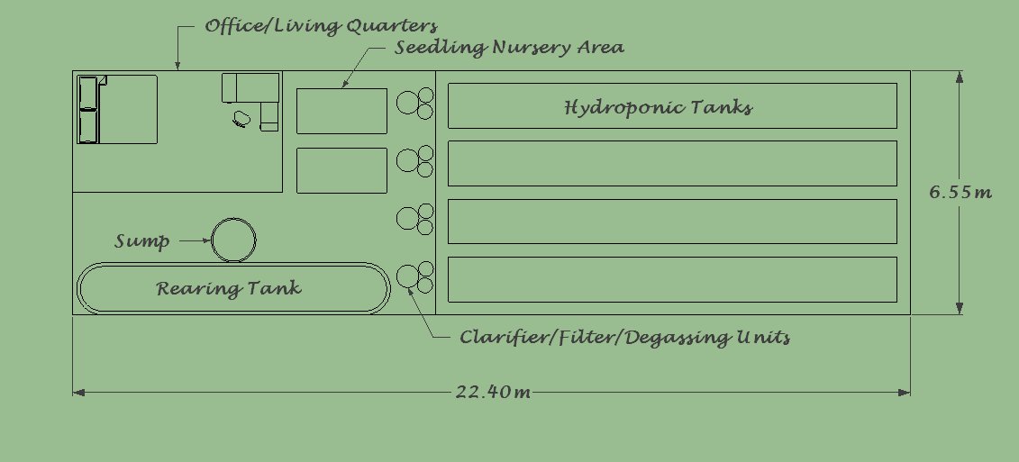  aquaponics - Hydroponics - Grow bed: Aquaponic System Final Design