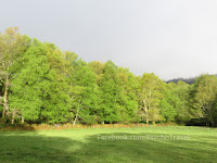 Miraz camino de Santiago Norte Sjeverni put slike psihoputologija