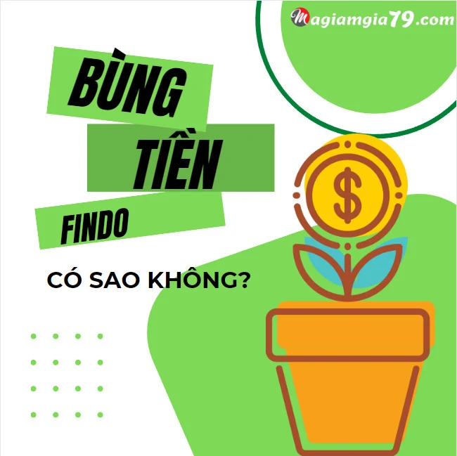 Bùng tiền app Findo