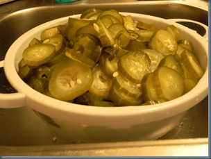 DSCN2631
