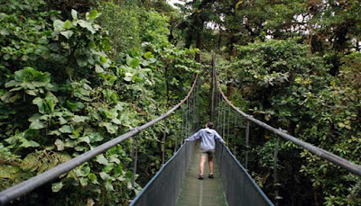 Montenegro Rainforest Bridge -Kosta Rika