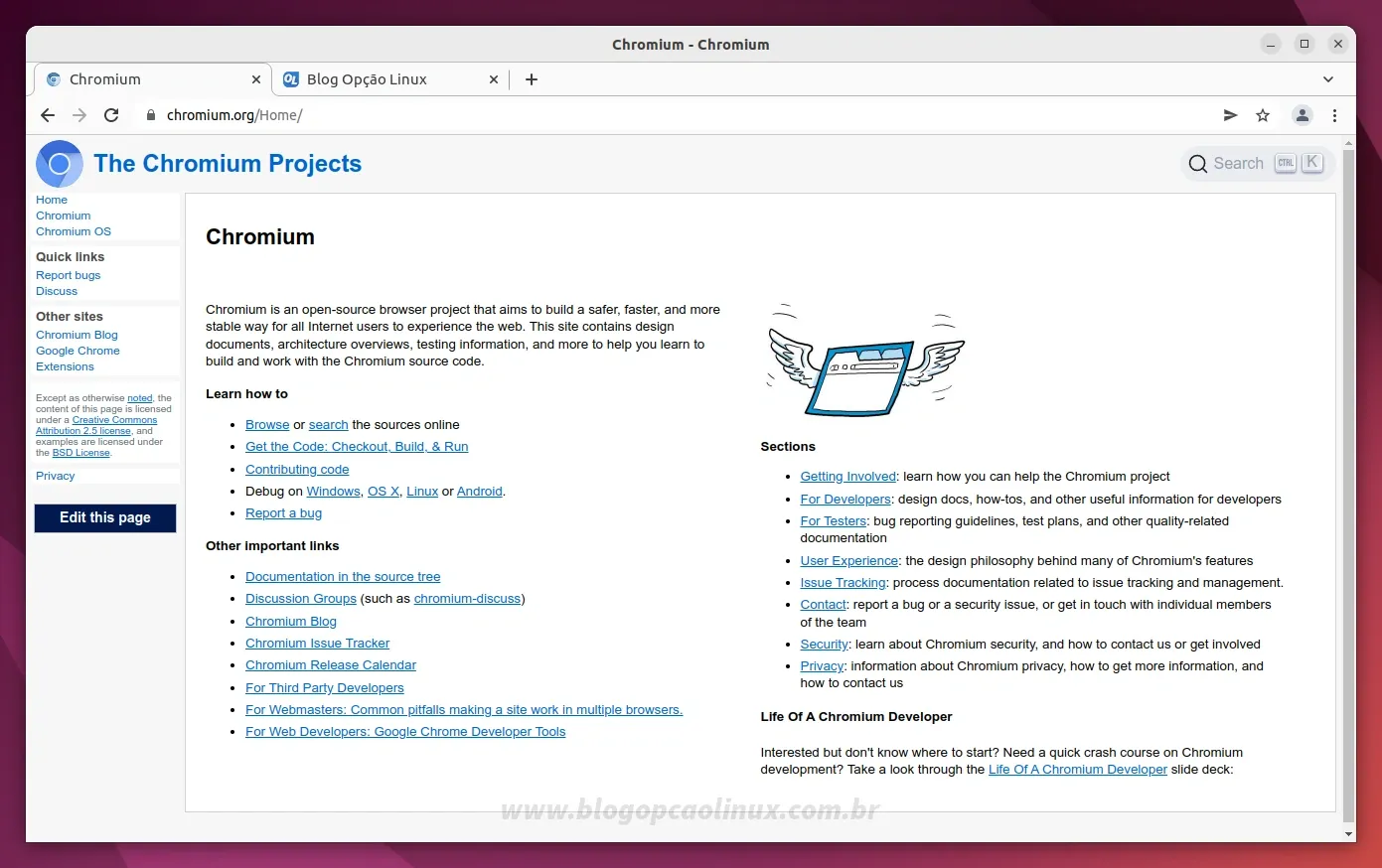 Chromium executando no Ubuntu 22.04 LTS (Jammy Jellyfish)