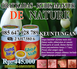 obat kudis tradisional paling mujarab