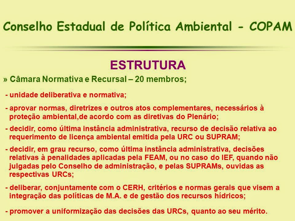 O QUE É O CONSELHO ESTADUAL DE POLÍTICA AMBIENTAL – COPAM