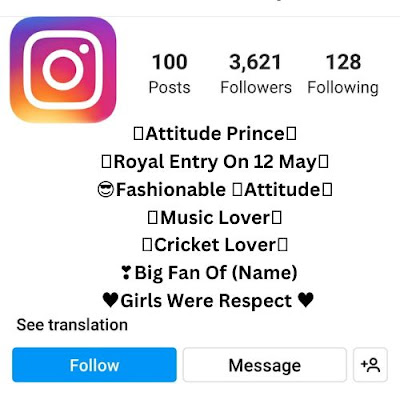 Cricket Instagram Bio For Boys