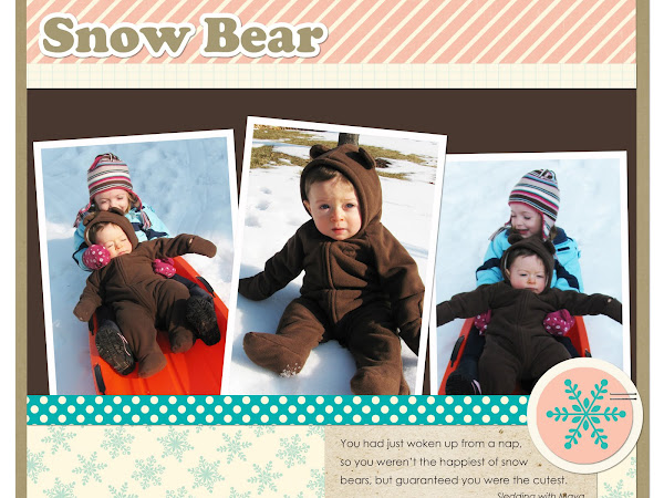 Snow Bear