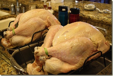 Thanksgiving 2012 027