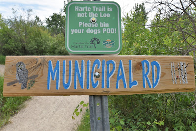 Bird themed street signs along Harte Trail Manitoba.