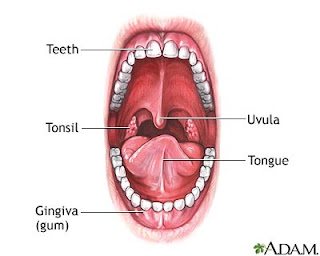 kesehatan mulut, gambar mulut, mulut