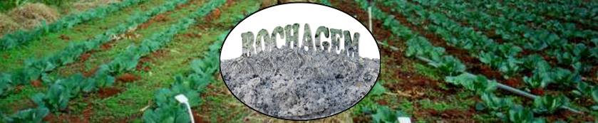 Blog da Rochagem