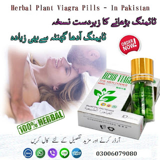 Herb Viagra Price in Karachi
