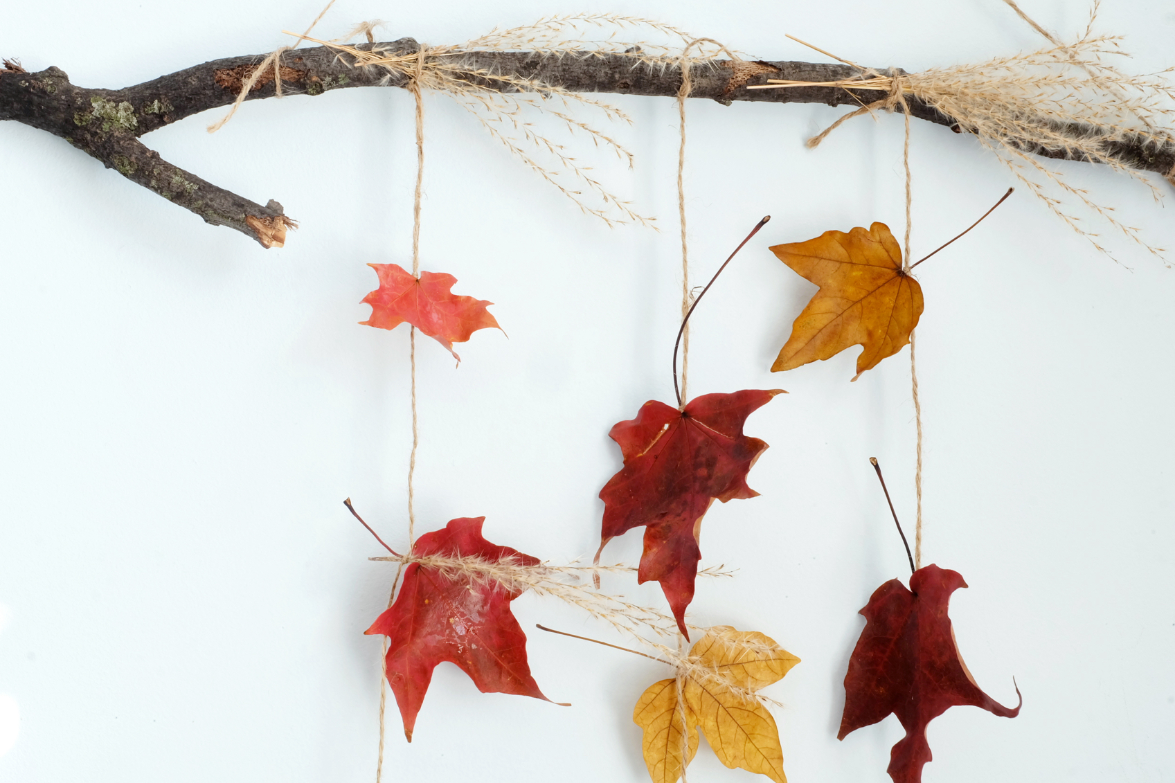 Fall DIY:  Leaf Sun Catcher Wall Hanging Thingie