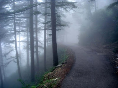 A Compilation of Beautiful Roads Seen On www.coolpicturegallery.net