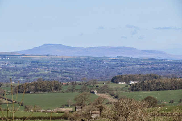 A zoom shot of the Yorkshire peak, Ingleborough in the distance.