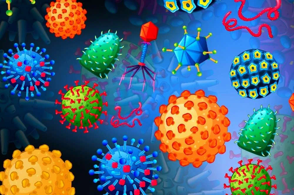 El norovirus o los llamados virus intestinales también pueden propagarse a través de la saliva