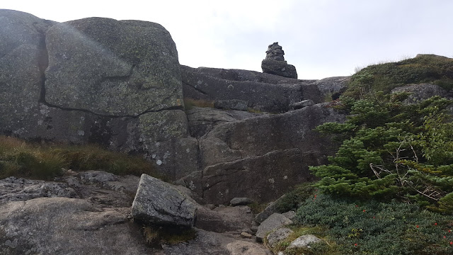 Vue à partir du sentier pour le mont Allgonquin