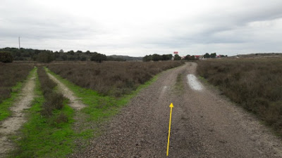 Bujaraloz en Venta de Santa Lucia, Camino de Santiago de Compostela, camino paralelo a la carretera N-II entre Bujaraloz y Venta de Santa Lucía