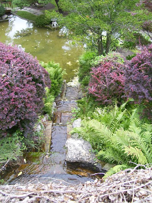 in the Japanese Garden.