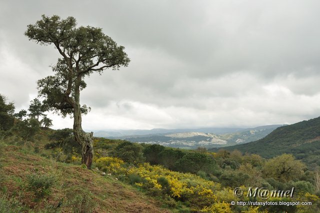 Sendero La Teja