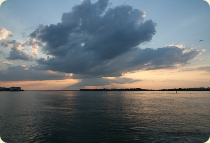 IMG_2087