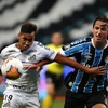 www.seuguara.com.br/Santos/Grêmio/Copa Libertadores 2020/