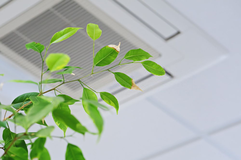 How to Improve Air Quality in Your Home