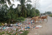 Kembali Penampakan Sampah Terlihat Berserakan Dan Tebar Aroma Busuk Di Desa Parang Sikureung