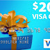 How To Get Visa Gift Card / Amazon Gift Card Private Method | No Investment Needed | 8 July 2020
