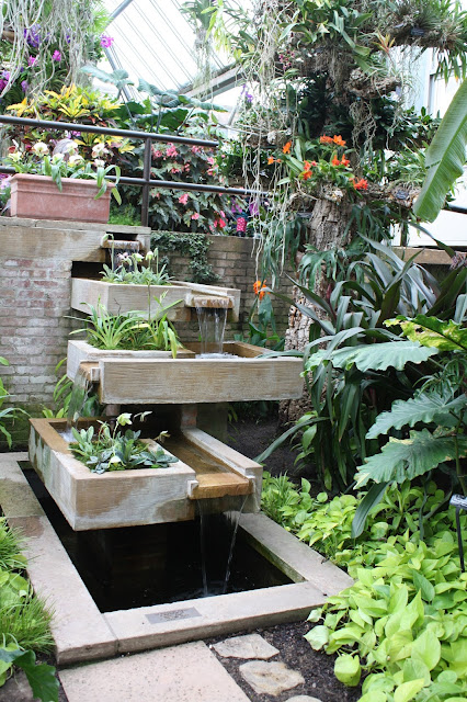 Water feature highlighted by orchids at Chicago Botanic Garden