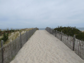 The path to the beach