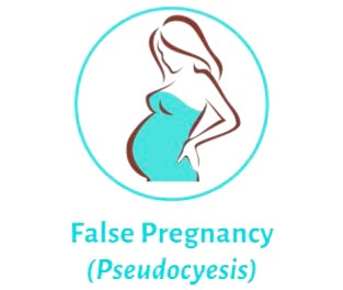 "Symptoms of false pregnancy "pseudocyesis   أعراض الحمل الكاذب