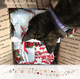 Real Cat Paisley inspects the contents of the Secret Paws package