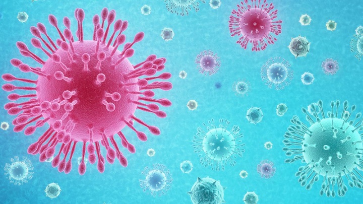 Mengenal 7 Tipe Virus Corona Covid-19 di Dunia, Menurut Penjelasan Ahli, naviri.org, Naviri Magazine, naviri majalah, naviri