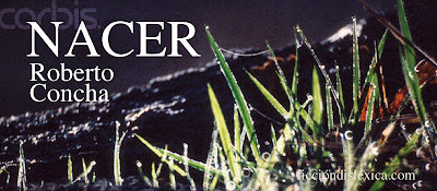 imagen de cesped fresco creciendo con el título de la obra Nacer, poesía por Roberto Concha @RobertoConchaR del blog ficciondislexica.com