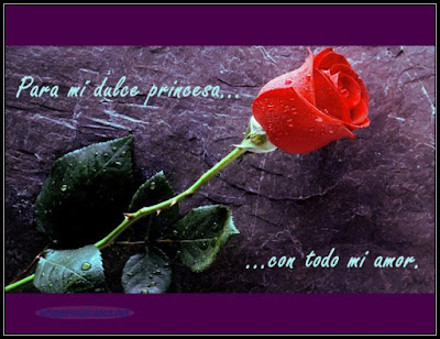  Rosas con Frases de Amor