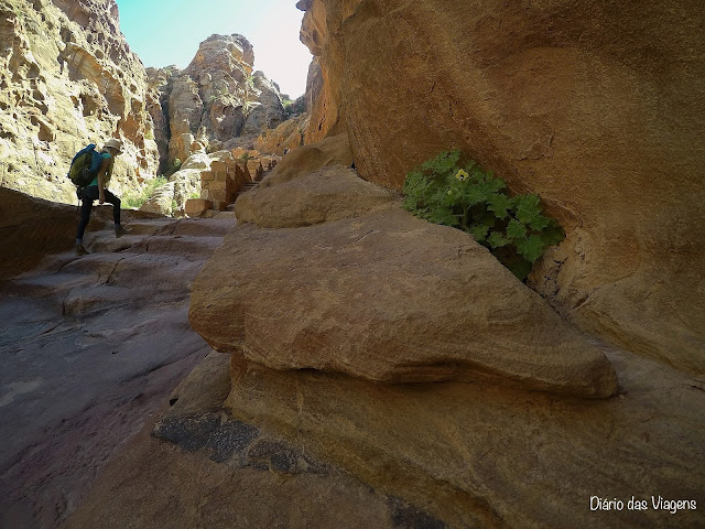 Visitar Petra, Roteiro Jordânia