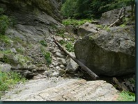 DSCN4004