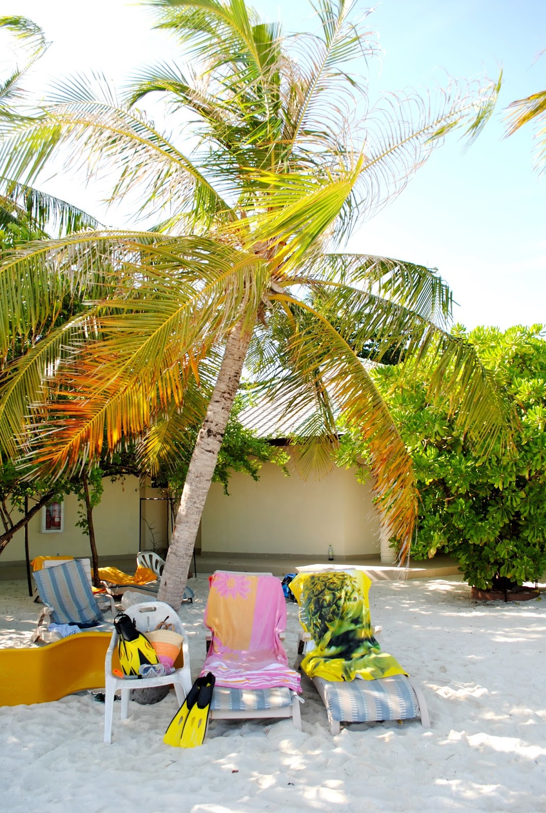 Hotel Embudu Village +++ Süd Male Atoll Malediven ab 