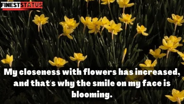 Beautiful Flowers Captions For Instagram | Flowers Captions & Quotes
