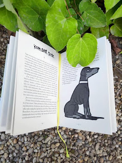 Povídky pod psa: Slepičí polévka pro psí duše (Eva Mašková, ilustrace: Pavel Beneš, nakladatelství Talent Pro ART)