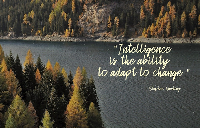 Most Inspirational quotes about Intelligence from Stephen Hawking 