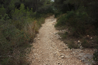 CALAFELL-MONTPAÓ-URBANITZACIÓ VALLDEMAR-TORRE D'EN VIOLA- EL PUJAL-LA TALAIA,  camí a la Muntanya del Comú de Calafell