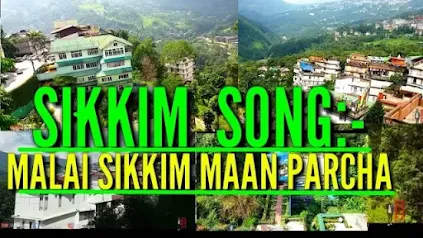 Malai Sikkim Lyrics - Malai Phool Manparcha Lyrics