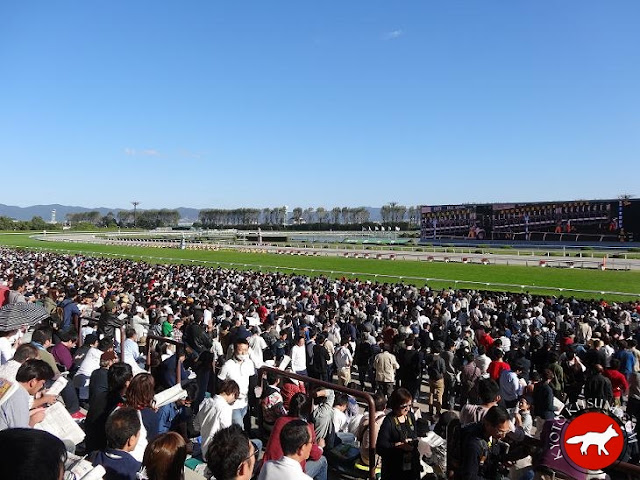 Hippodrome de Kyoto rempli pour le prix kikuka