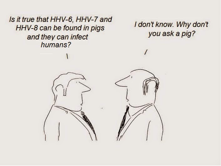 animal model, asfv, cdc, HHV-6, hhv-7, HHV-8, pigs, PLHV, porcine herpesvirus, swine