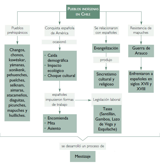 Pueblos Originarios de Chile