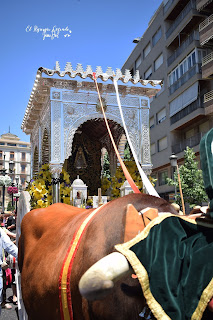 SALIDA DE LA HERMANDAD DEL ROCÍO DE GRANADA